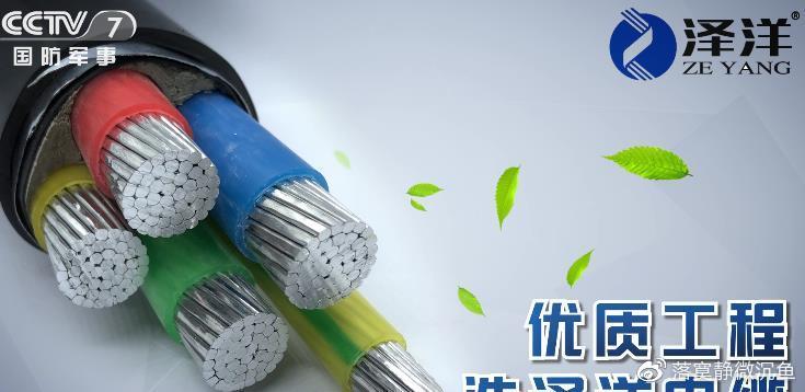 中央电视台广告代理公司消息,泽洋电缆央视七套广告展播